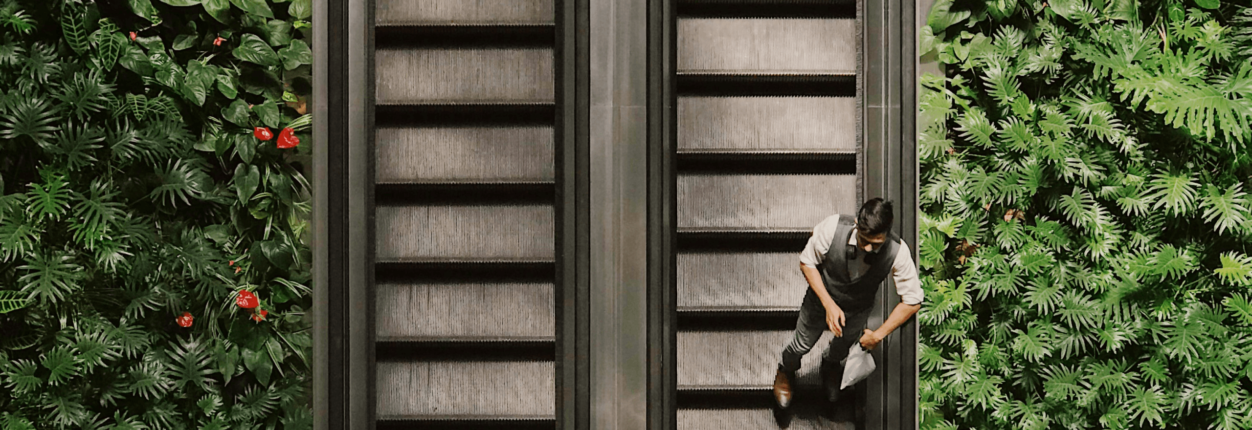 An escalator showing the steps towards GreenOps value