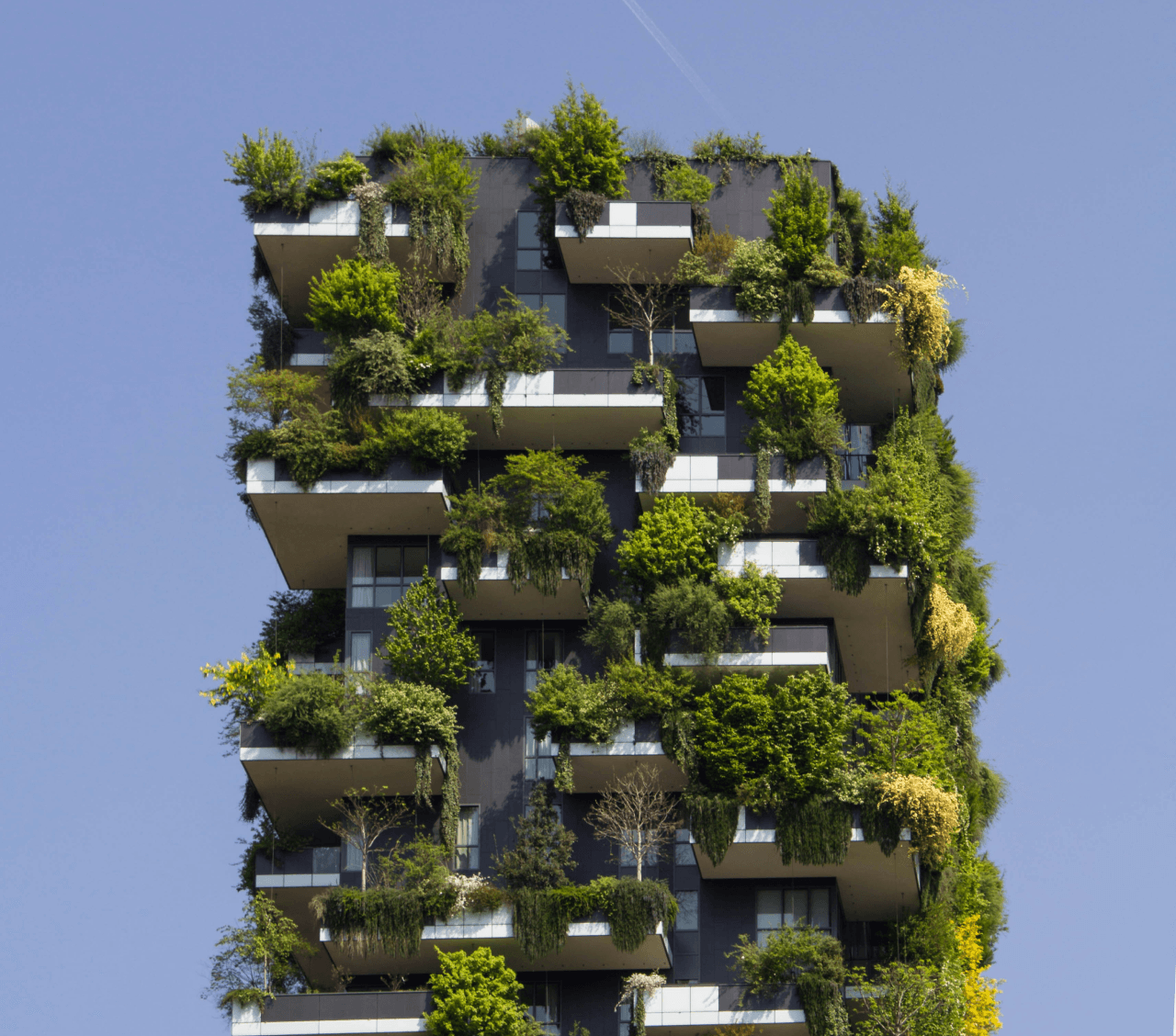 An image showing a green building representing GreenOps