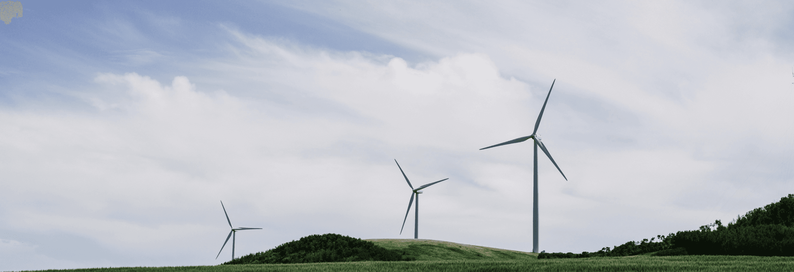 An image showing windmills in a field